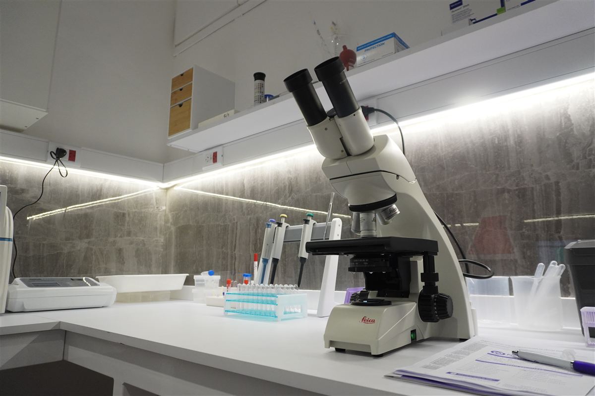 Microscopio binocular sobre la mesada, junto a pipetas y una gradilla con tubos.