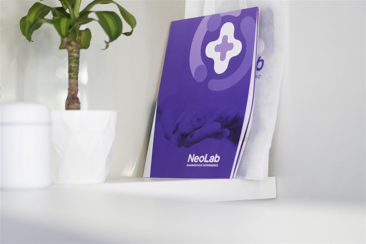 Carpeta institucional de NeoLab sobre un estante, junto a una planta.